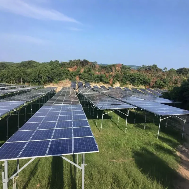 Trang trại PV